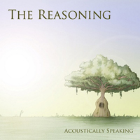 Reasoning - Acoustically Speaking