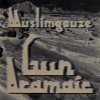 Muslimgauze - Gun Aramaic