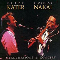 Peter Kater - Improvisations In Concert (Split)