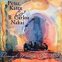 Peter Kater - Through Windows & Walls (Split)