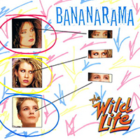 BananaRama - The Wild Life (Canada 12