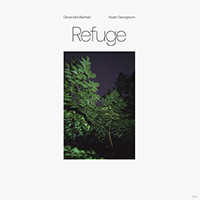 Devendra Banhart - Refuge (with Noah Georgeson)