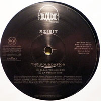 XziBit - The Foundation (VLS)