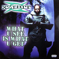 XziBit - What U See Is What U Get (Single)
