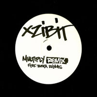 XziBit - Multiply Remix (Vinyl)