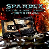 Gothsicles - Spandex On The Sunset Strip: A Tribute To 80's Metal (Single)