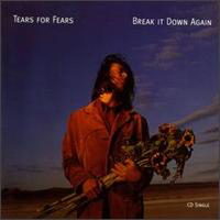 Tears For Fears - Break It Down Again