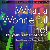 Tsuyoshi Yamamoto Trio - What A Wonderful Trio!
