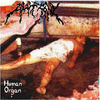 Gluttony - Human Oragn