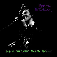 Robyn Hitchcock & The Venus 3 - While Thatcher Mauled Britain