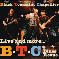 Neal Black & The Healers - BTC Blues Revue - Live and more... (CD 2: Bonus Studio Tracks) (feat. Nico Wayne Toussaint & Fred Chapellier)