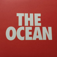 Manchester Orchestra - The Ocean (7'' Single)