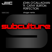 John O'Callaghan - Perfection (Shogun Remix) (Feat.)