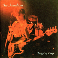 Chameleons - Tripping Dogs