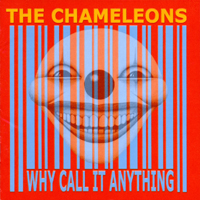 Chameleons - Why Call It Anything