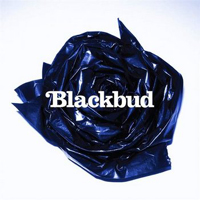 Blackbud - Blackbud