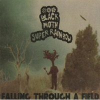 Black Moth Super Rainbow - Falling Through A Field