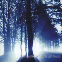 Remembrance of Pain - Beneath Our Shadows