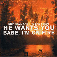 Nick Cave - He Wants You - Babe, I'm On Fire (Single)