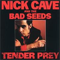 Nick Cave - Tender Prey