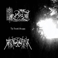 Drengskapur - The Forest.s Arcanum (Split with Heilnoz)