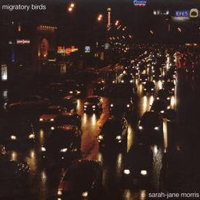 Sarah Jane Morris - Migratory Birds