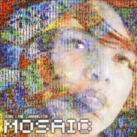 Terri Lyne Carrington - The Mosaic Project