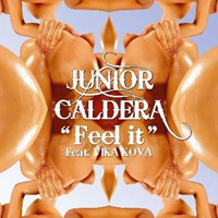 Junior Caldera - Feel It (feat. Vika Kova) (Single)