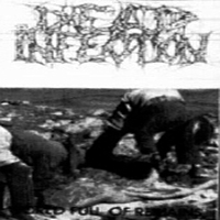 Dead Infection - Human Slaugther...Till Remains