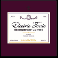 Medeski, Martin & Wood - Electric Tonic