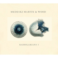 Medeski, Martin & Wood - Radiolarians I : The Evolutionary Set