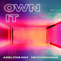 Adelitas Way - Own It (feat. New Medicine) (Single)