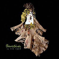Bowerbirds - In The Yard (Single)