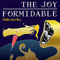 Joy Formidable - While The Flies (Acoustic Single)