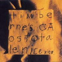 Tim Berne - Nice View