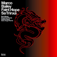 Marco Bailey & Tom Hades - Faint Hope