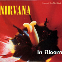 Nirvana (USA) - In Bloom