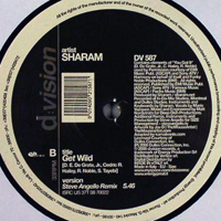 Sharam - Get Wild (Include Steve Angello Remix)