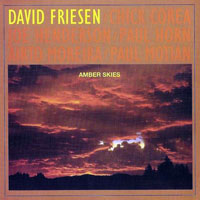 David Friesen Trio - Amber Skies