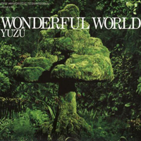 Yuzu - Wonderful World