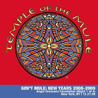 Gov't Mule - 2008.12.27 - Angel Orensanz Foundation, New York, NY, USA (CD 3)