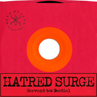 Hatred Surge - Servant / Bestial (7