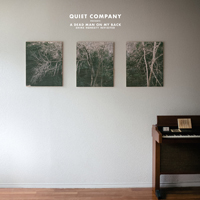 Quiet Company - A Dead Man On My Back- Shine Honesty Revisited