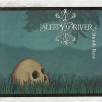 Sleepy Driver - Steady Now
