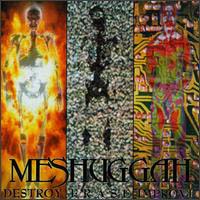 Meshuggah - Destroy Erase Improve