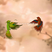 Passenger (GBR) - Beautiful Birds (Instrumental) (Single)