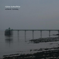 Hildur Gudnadottir - Without Sinking