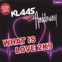 DJ Klaas - What Is Love 2K9 (Single) (Split)