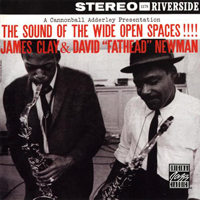 David 'Fathead' Newman - James Clay & David 'Fathead' Newman - The Sound of the Wide Open Spaces (LP)