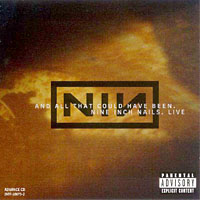 Nine Inch Nails - And All That Could Have Been (Disc 1)